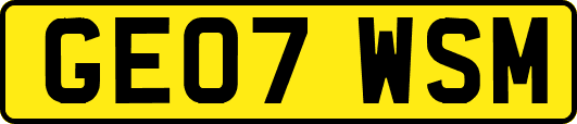 GE07WSM