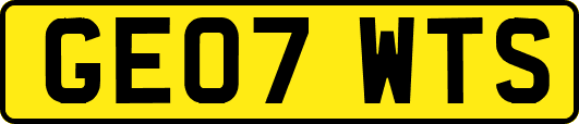 GE07WTS