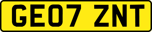 GE07ZNT