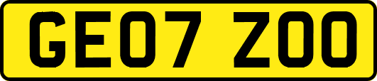 GE07ZOO