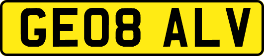 GE08ALV