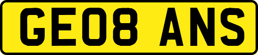 GE08ANS