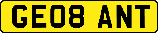 GE08ANT
