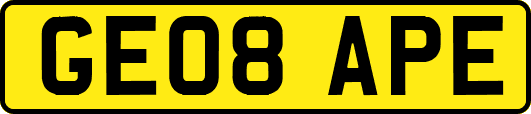 GE08APE