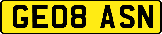 GE08ASN