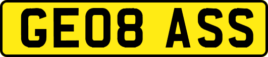 GE08ASS