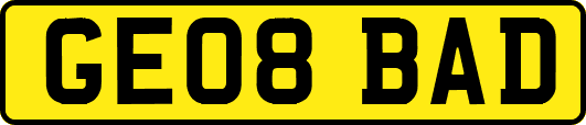 GE08BAD