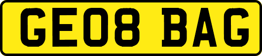GE08BAG