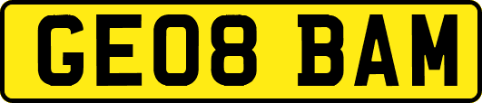 GE08BAM