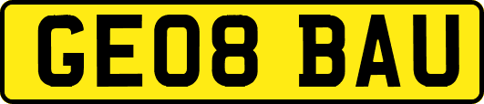 GE08BAU