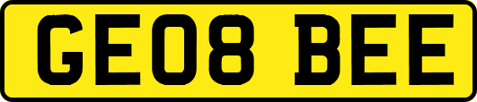 GE08BEE