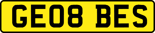 GE08BES