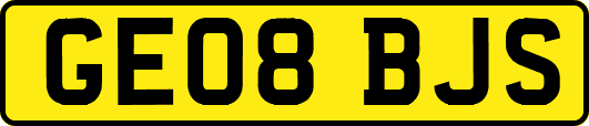 GE08BJS