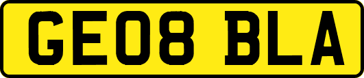 GE08BLA