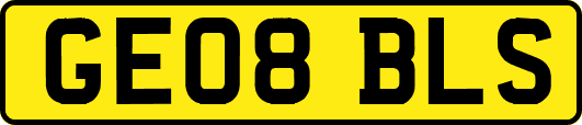GE08BLS