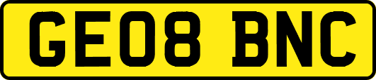 GE08BNC