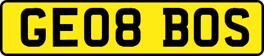 GE08BOS