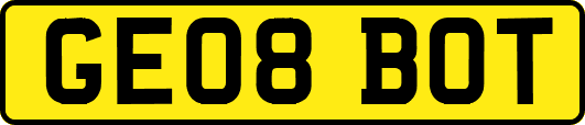 GE08BOT
