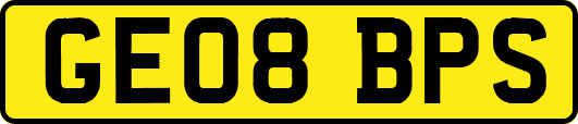 GE08BPS