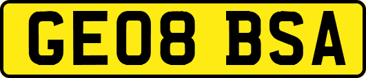 GE08BSA