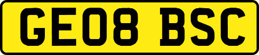 GE08BSC