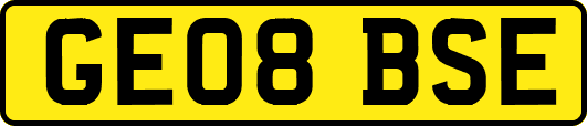 GE08BSE
