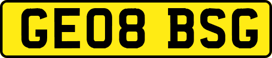 GE08BSG