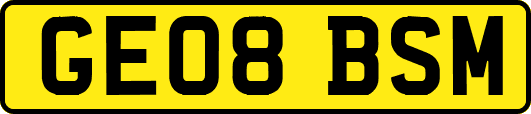 GE08BSM
