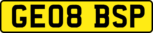 GE08BSP
