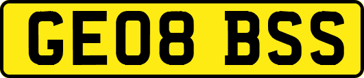GE08BSS