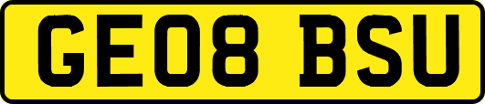 GE08BSU