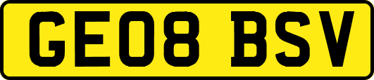 GE08BSV