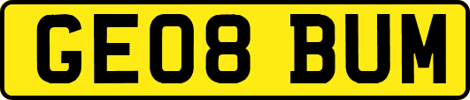 GE08BUM
