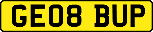 GE08BUP