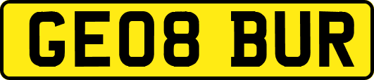 GE08BUR