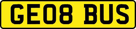 GE08BUS