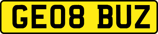 GE08BUZ
