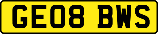 GE08BWS