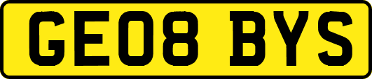 GE08BYS