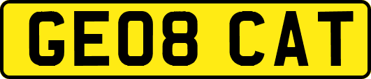GE08CAT