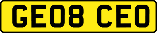 GE08CEO