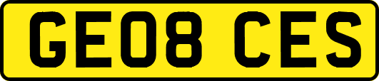 GE08CES