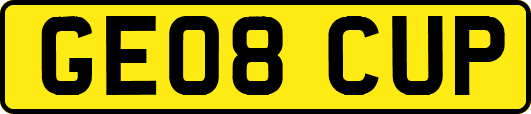 GE08CUP