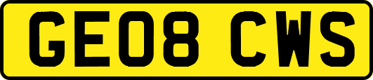GE08CWS