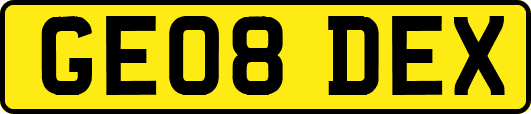 GE08DEX