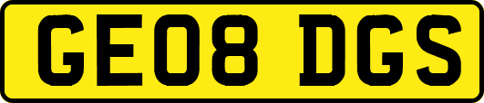 GE08DGS