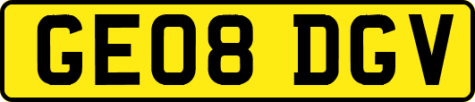 GE08DGV