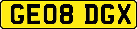 GE08DGX