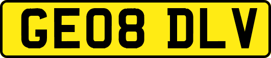 GE08DLV