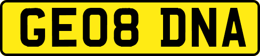 GE08DNA
